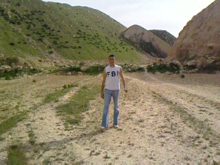 azdine